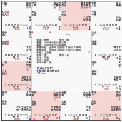 廉貞天府坐命|紫微命盤解析——天府星、廉貞星在辰、戌宮